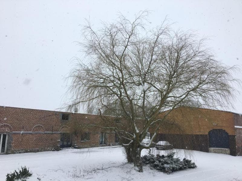 Winter, Inner courtyard view, Parking
