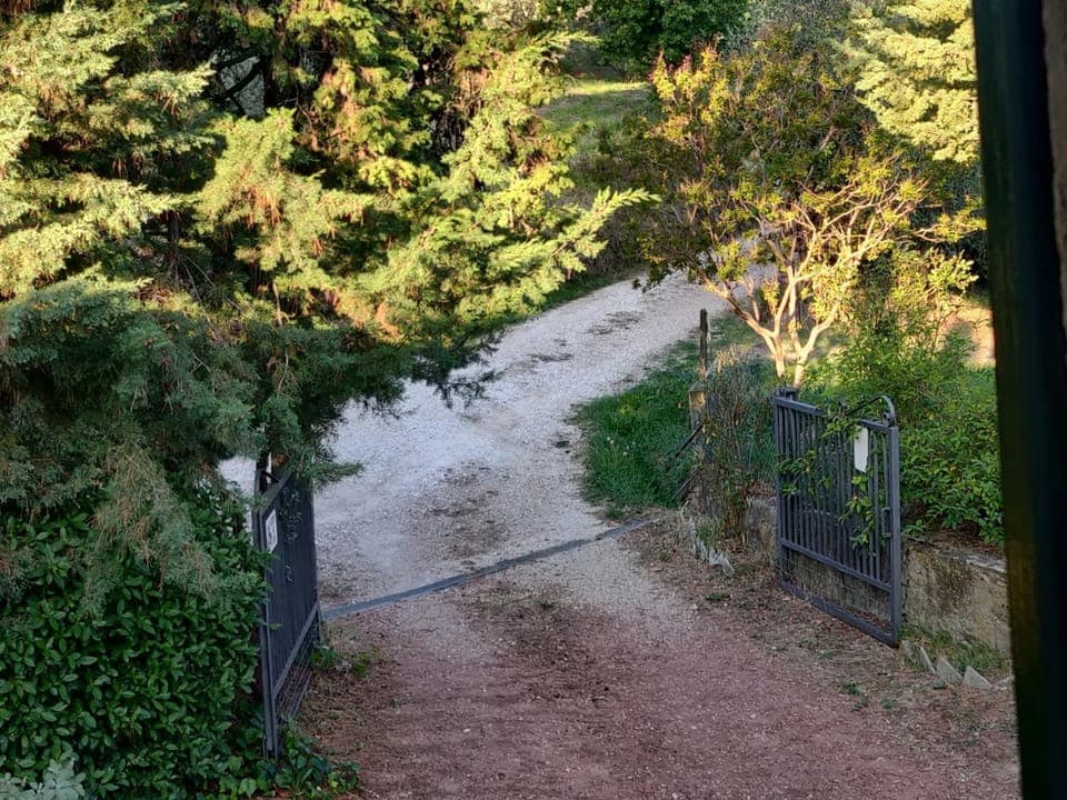 Spring, Natural landscape