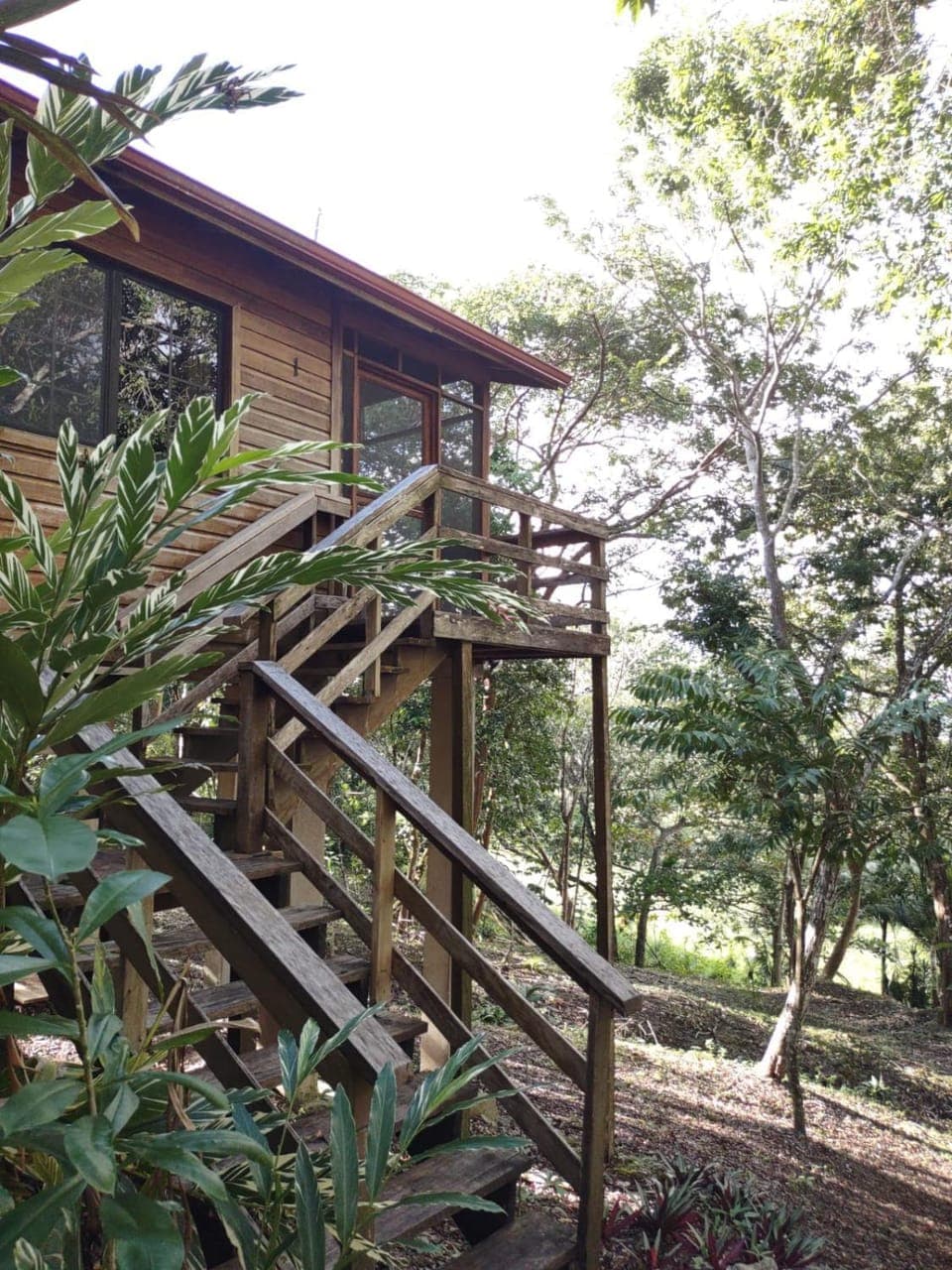 Property building, Garden view