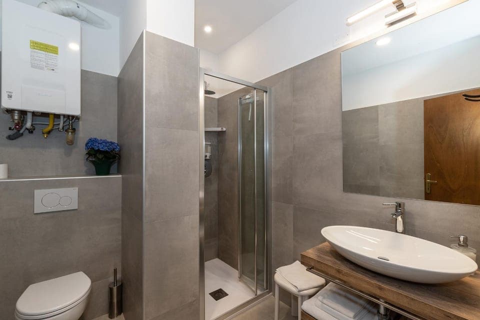 Shower, Toilet, Bathroom, bidet