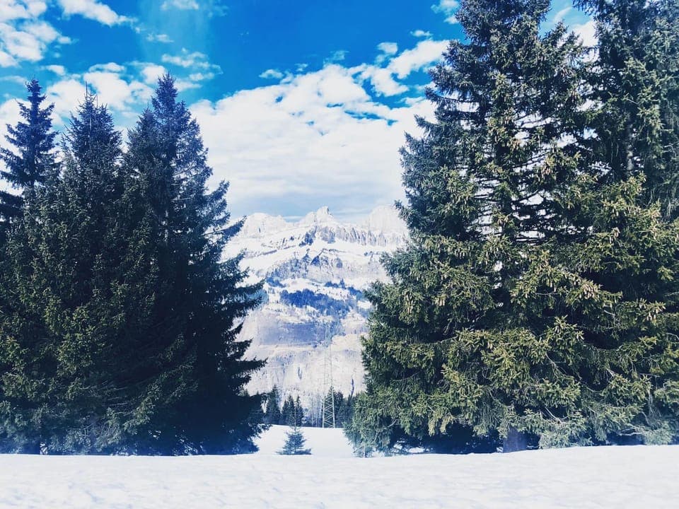 Mountain view