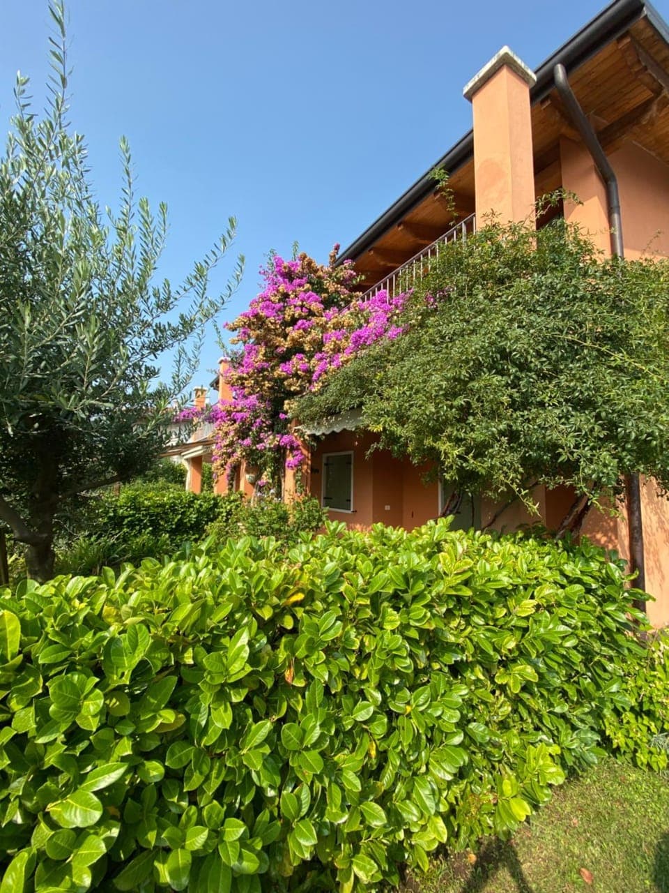 Property building, Garden