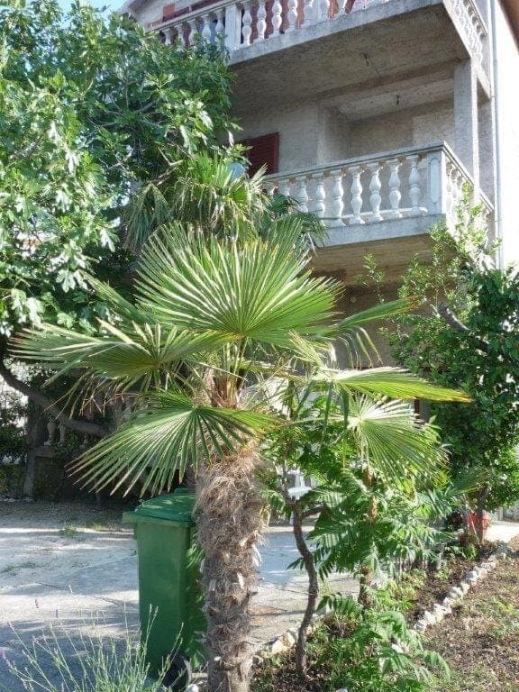 Property building, Facade/entrance, Off site