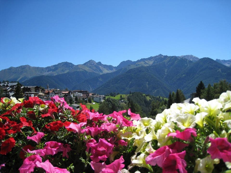 Summer, Garden view, Mountain view