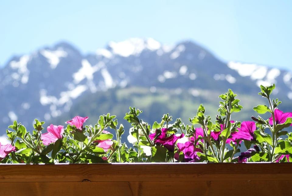 Balcony/Terrace, Mountain view
