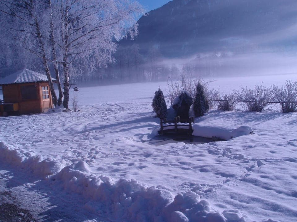 Natural landscape, Winter