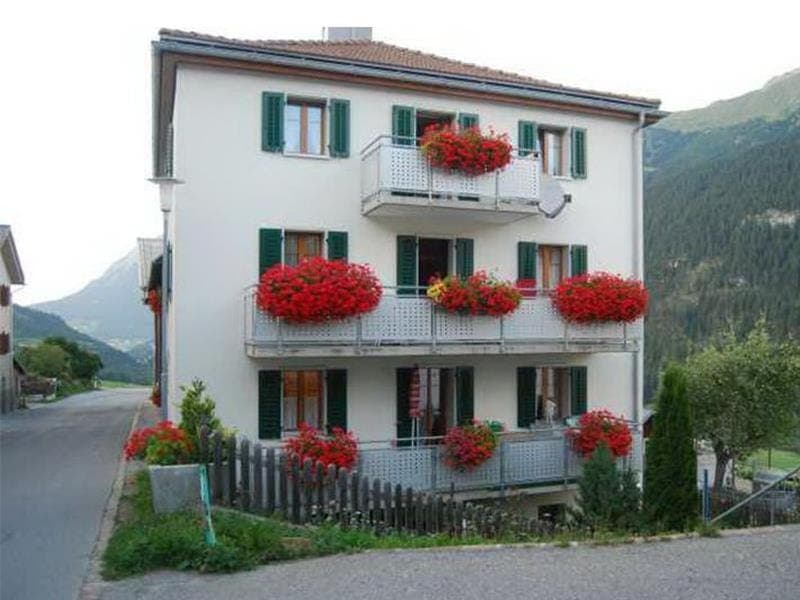 Property building, Day, Garden