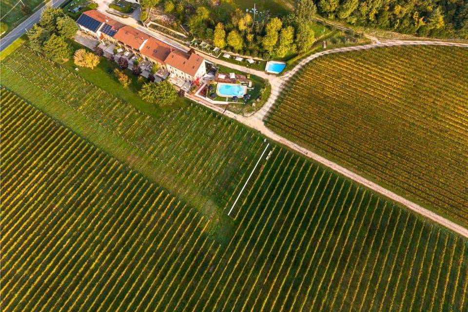 Bird's eye view, Swimming pool