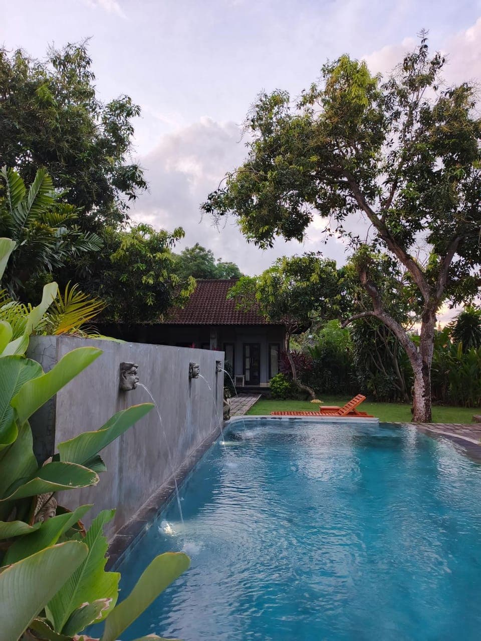 Day, Garden, Garden view, Pool view, Swimming pool