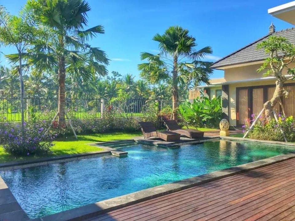 Swimming pool, Swimming pool