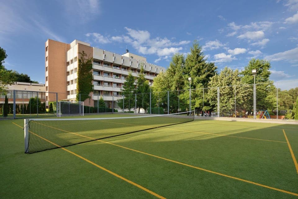 Tennis court, Tennis court