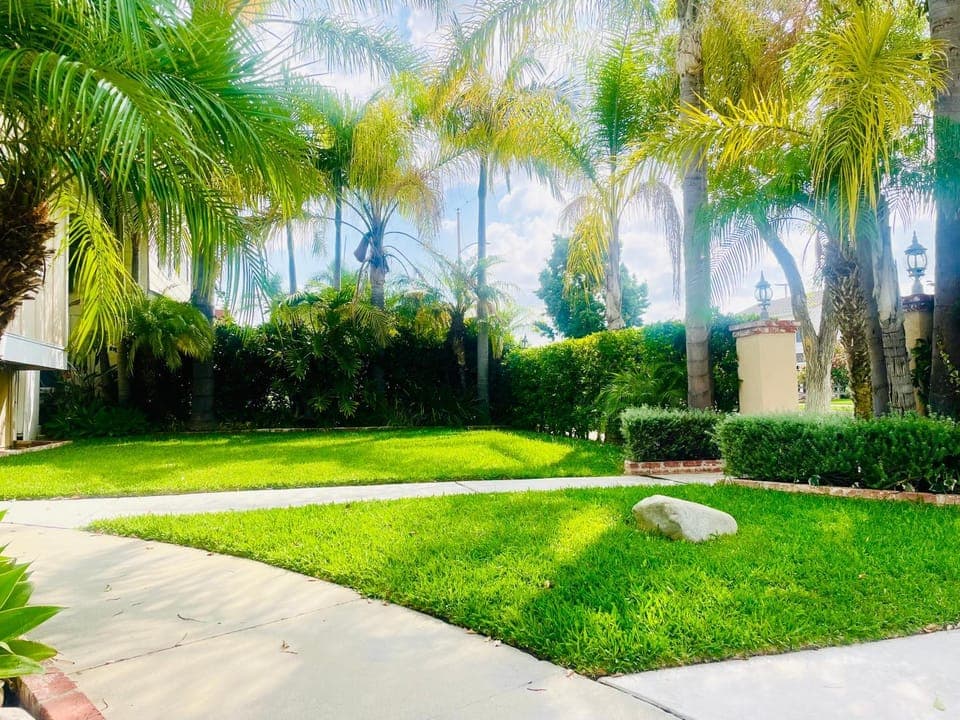 Natural landscape, Garden, Garden view