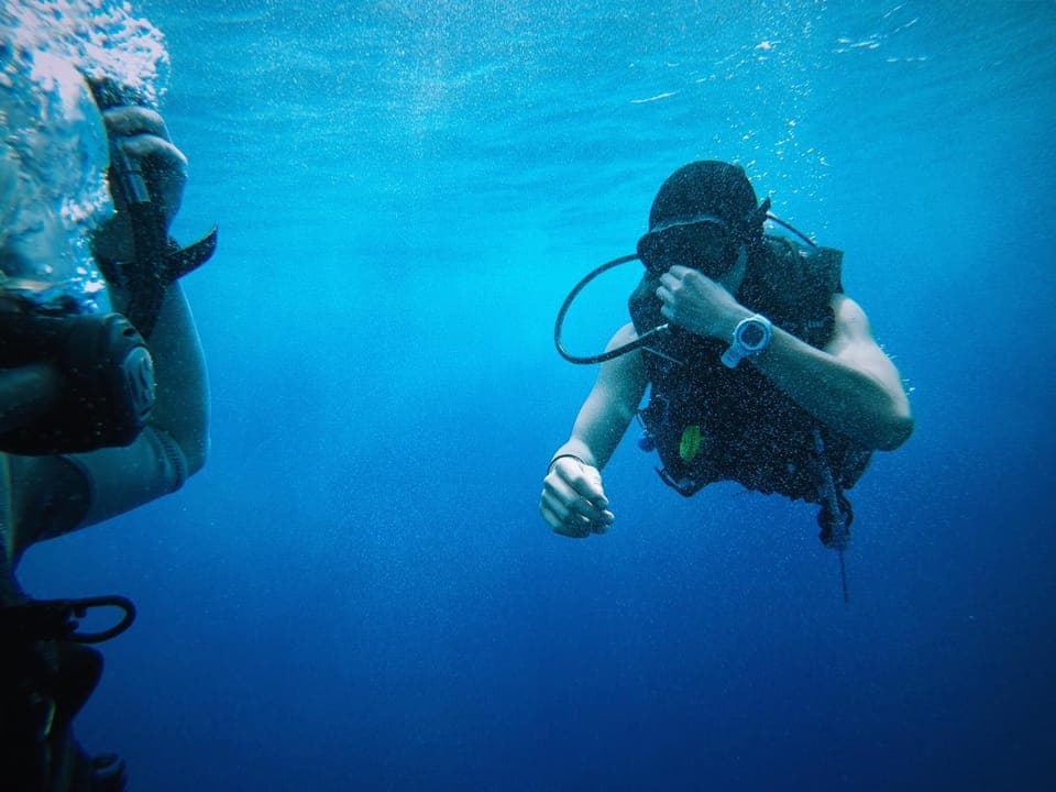 Snorkeling, Snorkeling, Diving, Diving