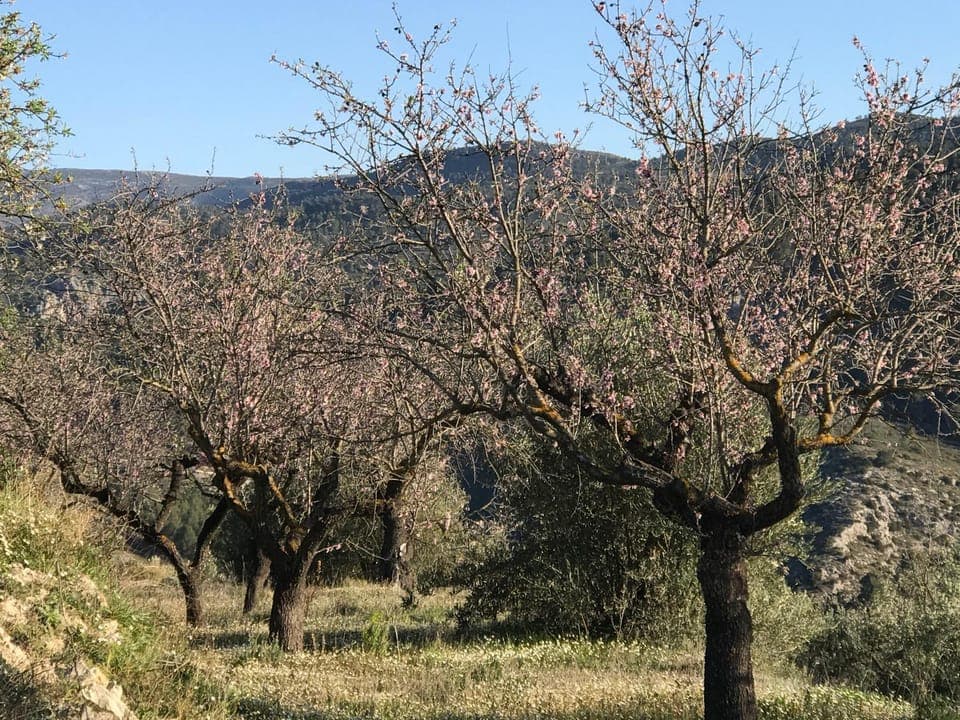 Natural landscape, Other