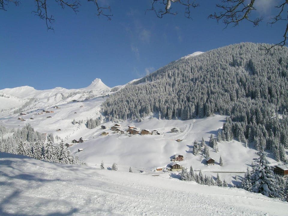 Winter, View (from property/room)