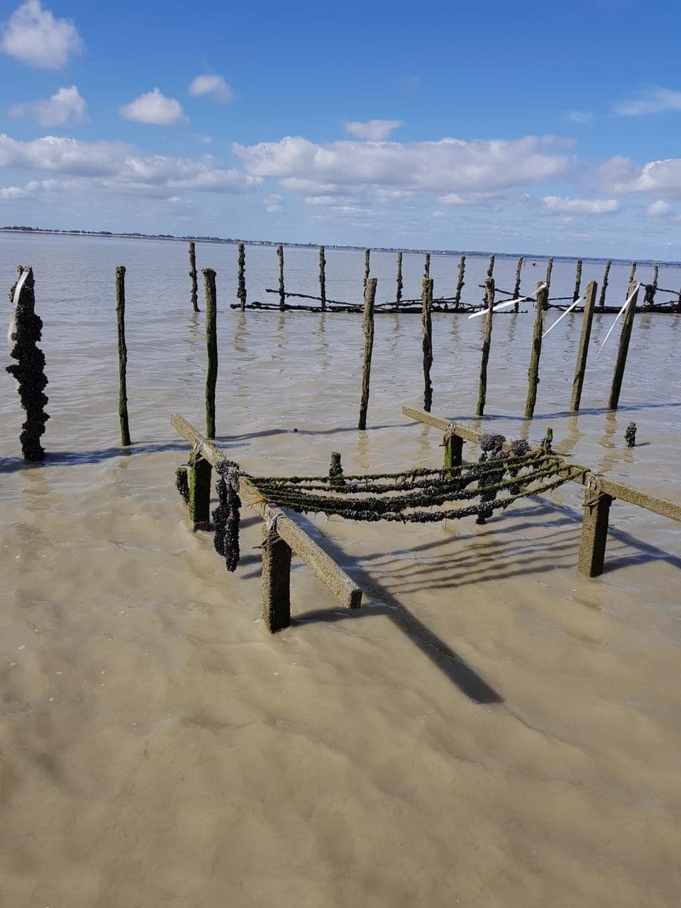 Fishing, Hiking, Cycling