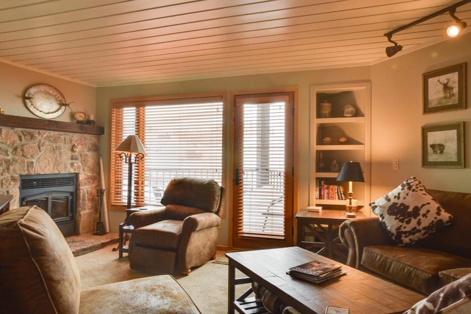 'Eagle's Nest' Crested Butte Townhome w/ Mtn Views House in Colorado