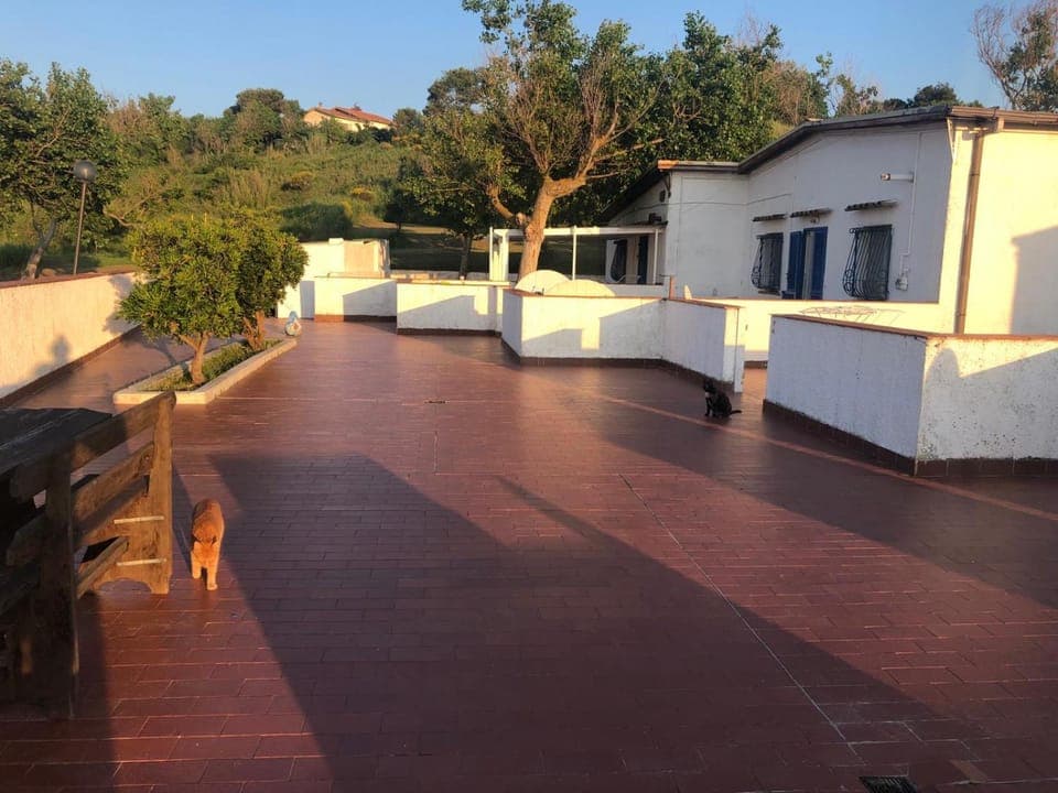 Property building, Balcony/Terrace