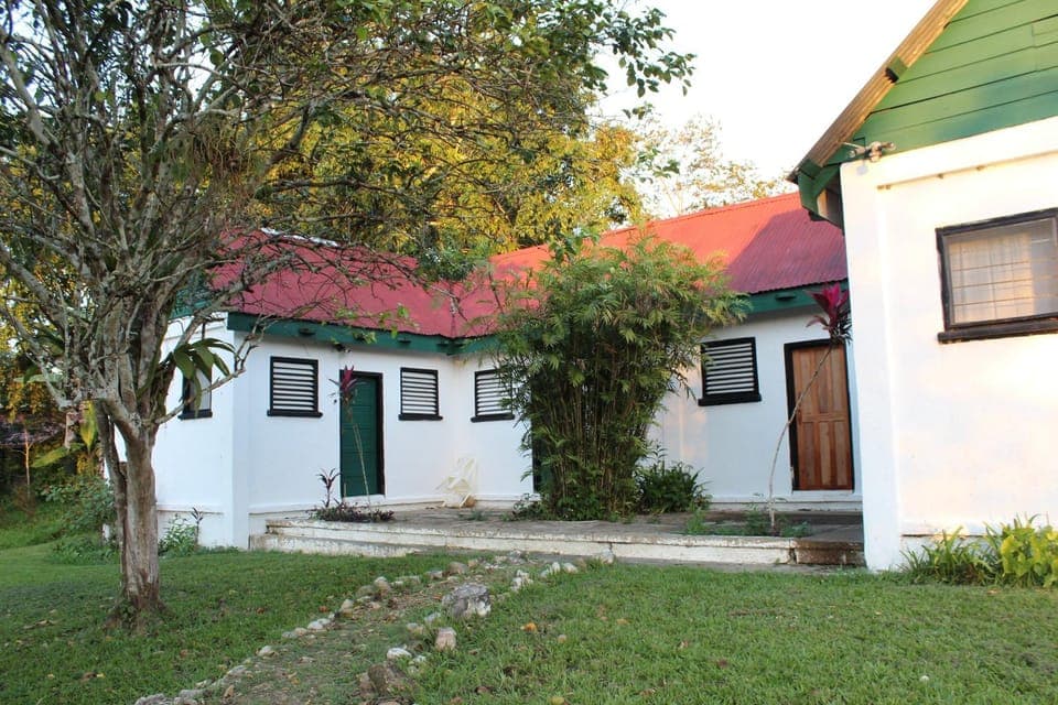 Property building, Garden, Garden view