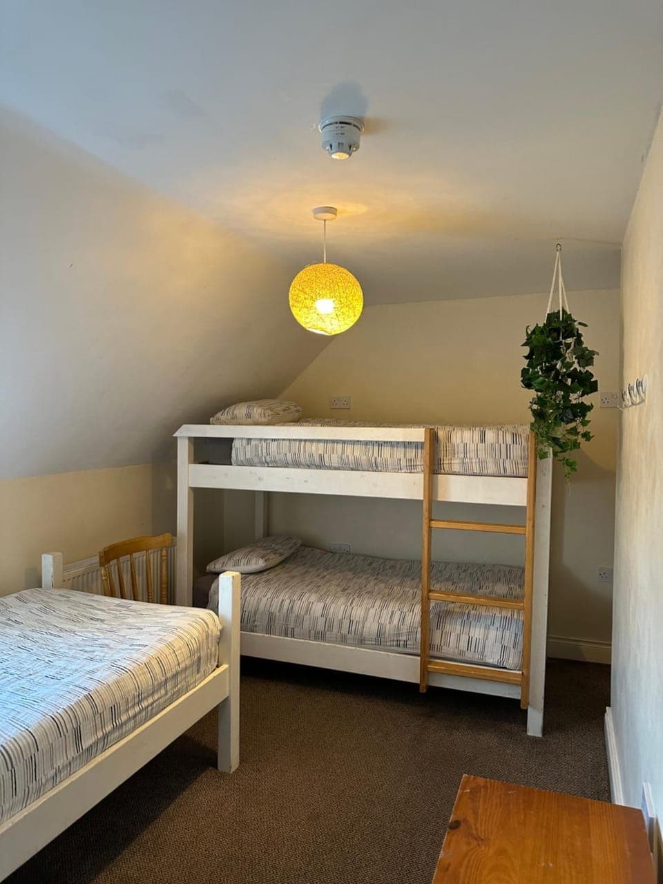 The Grapevine Hostel Hostel in Dingle