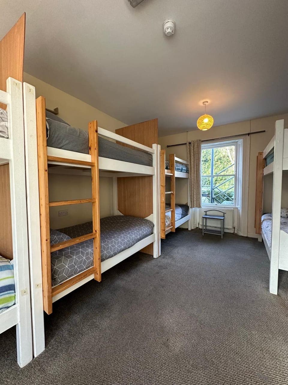 The Grapevine Hostel Hostel in Dingle