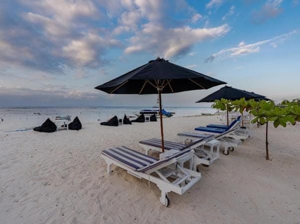 Day, Natural landscape, Beach, Sea view, sunbed