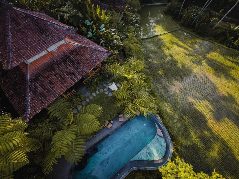 Natural landscape, Pool view, Swimming pool