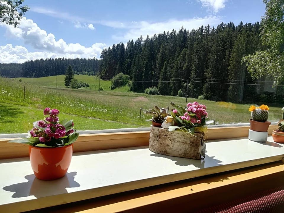 Natural landscape, View (from property/room)
