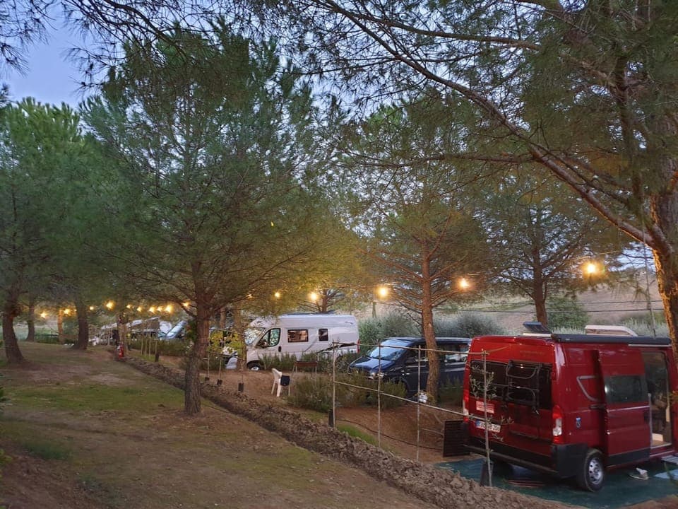 Spring, Day, Winter, Summer, Autumn, On site, Seasons, Time of day