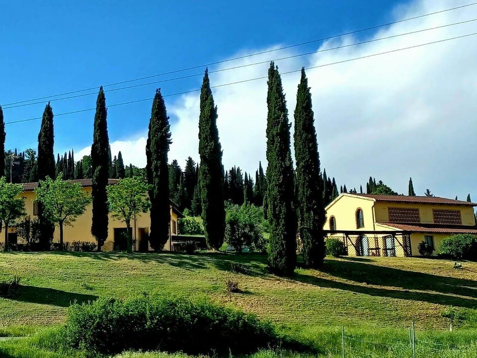 Property building, Spring, Day, Natural landscape, Garden, Garden view