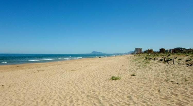 Beach