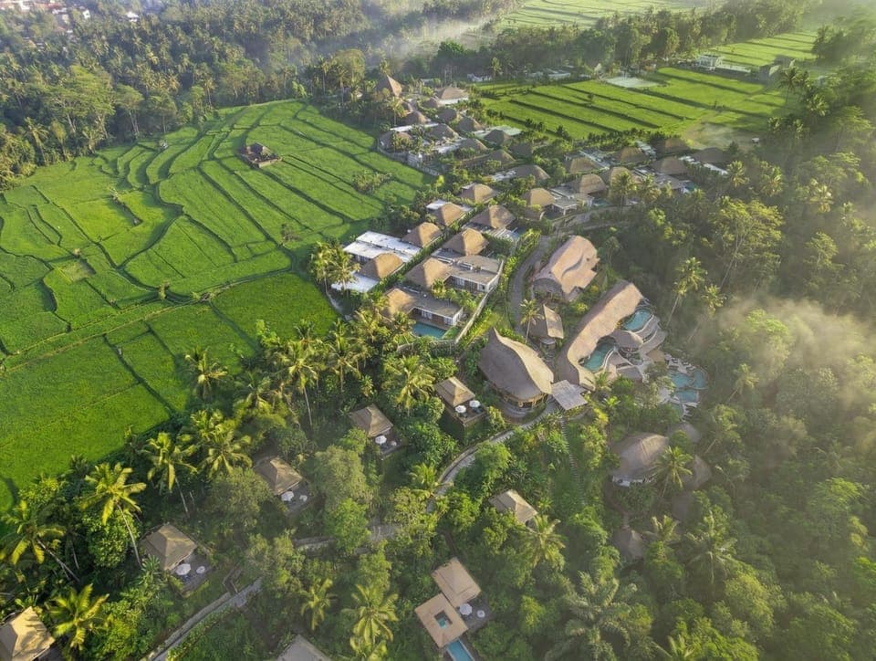 View (from property/room)