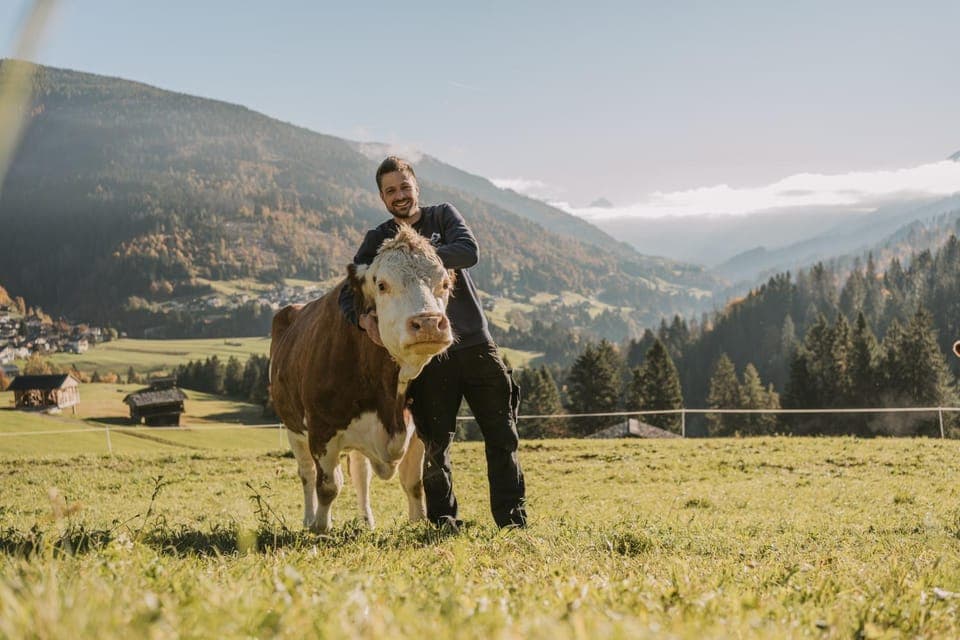 Natural landscape, Animals