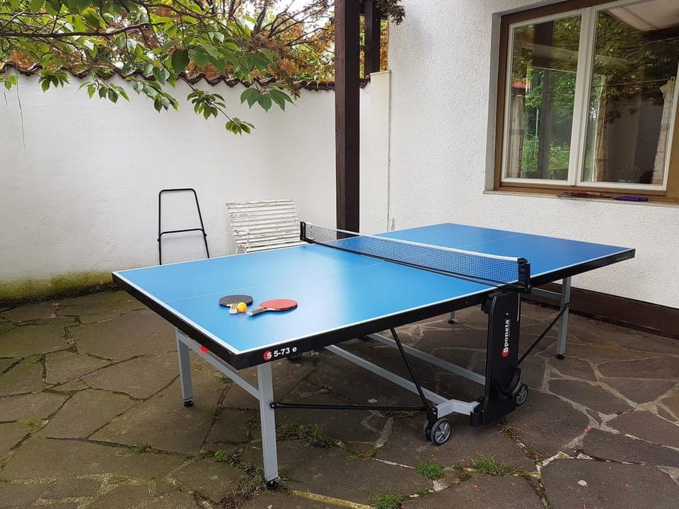 Table tennis, Table tennis