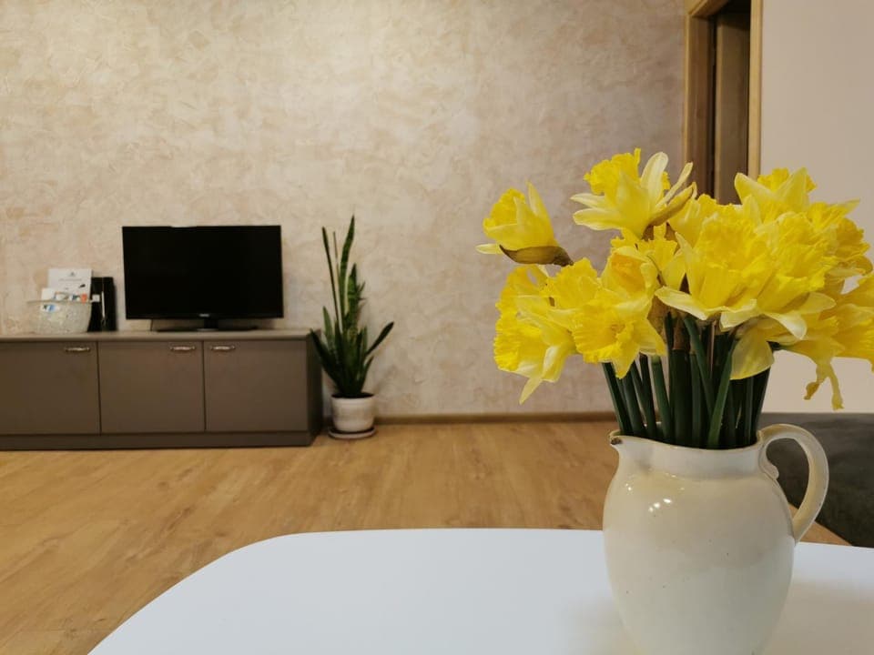 Communal lounge/ TV room, TV and multimedia