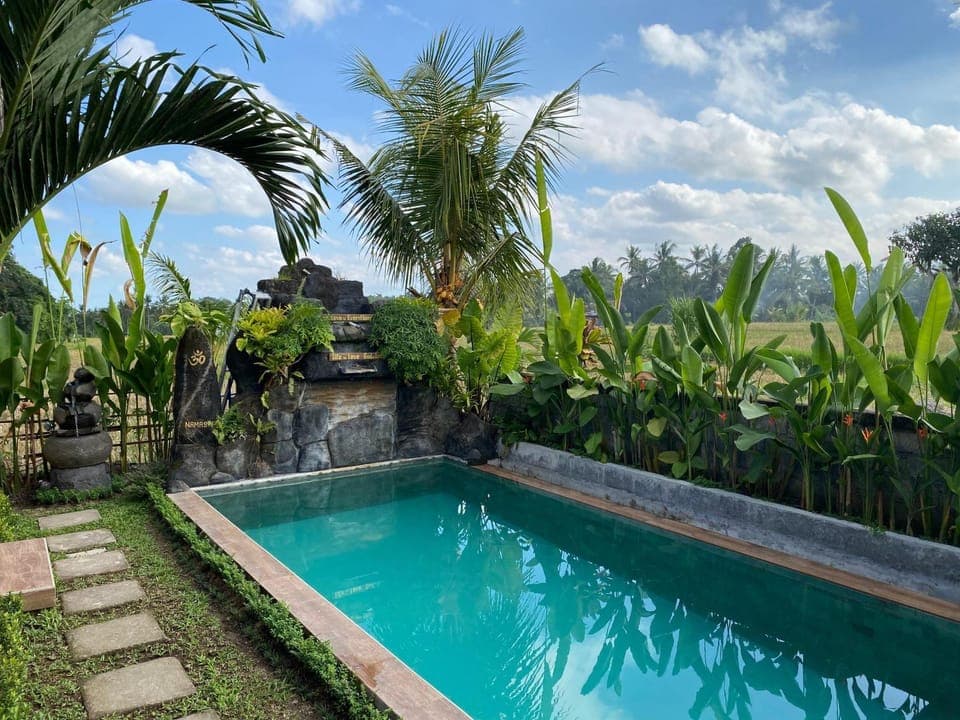 Garden, Pool view, Swimming pool