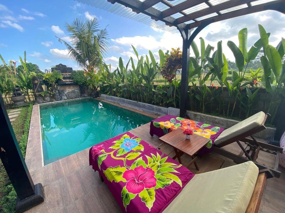 Garden, Pool view, Swimming pool