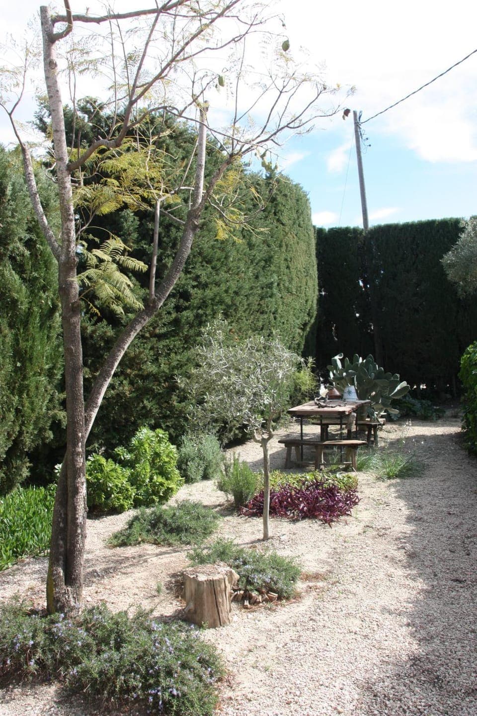 Garden