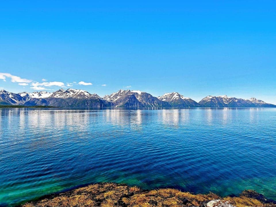 Lake view