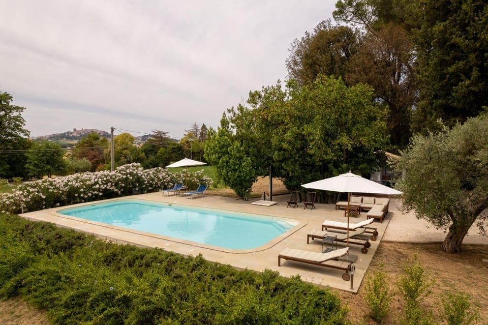 Day, Garden, Garden view, Pool view, Swimming pool, sunbed