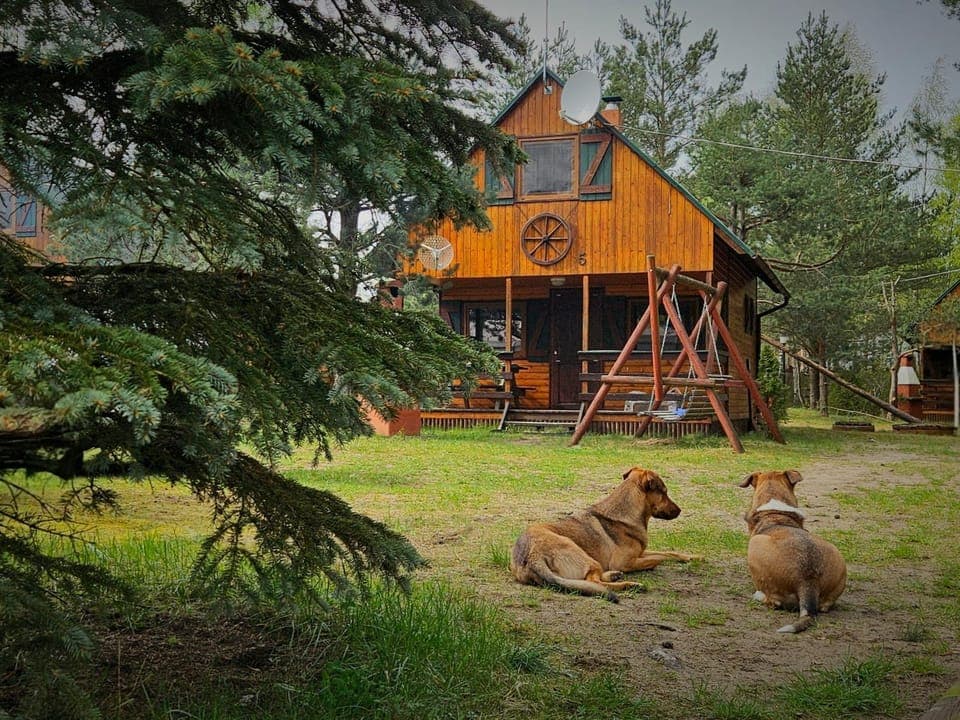 Property building, Garden, Pets