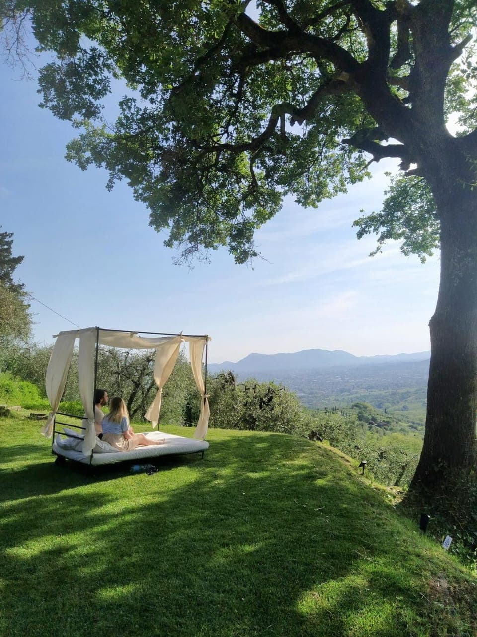 Natural landscape, Garden, Garden view, Landmark view, Mountain view