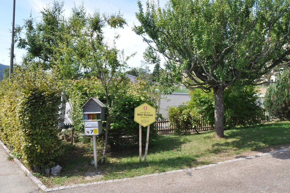 Logo/Certificate/Sign