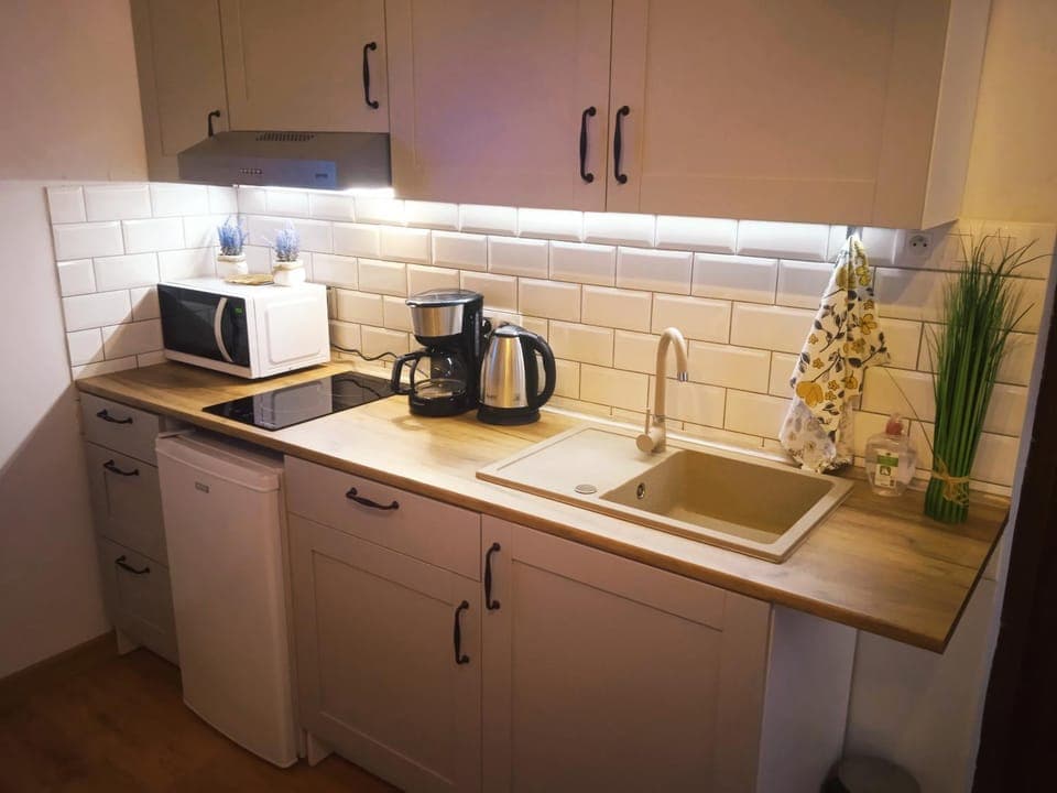 Coffee/tea facilities, Kitchen or kitchenette, minibar, stove