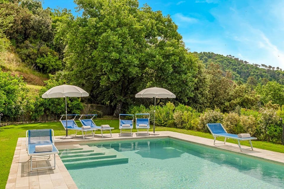 Natural landscape, Garden, Garden view, Pool view, Swimming pool, sunbed