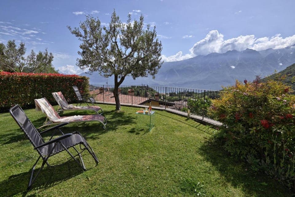 Patio, Garden, Garden view