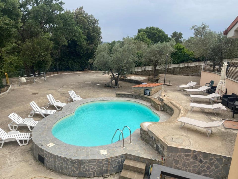 Spring, Natural landscape, Garden, Garden view, Pool view, Swimming pool, sunbed