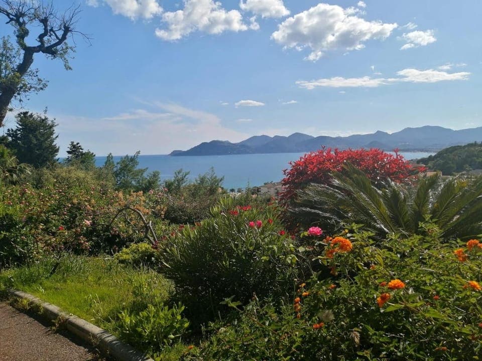 Natural landscape, Garden, Sea view