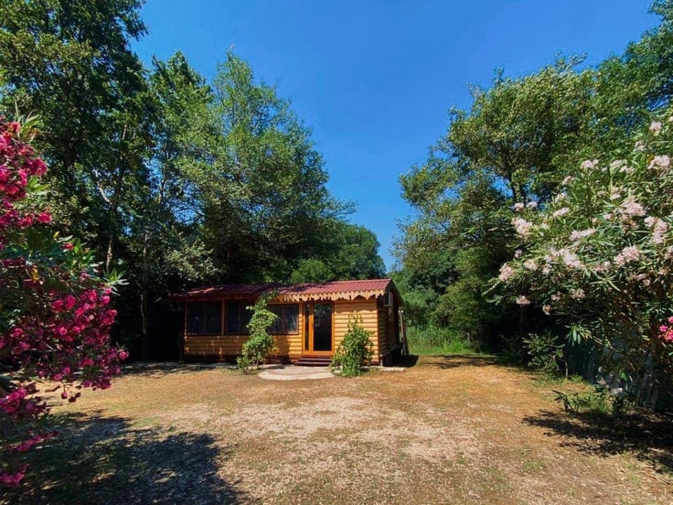 Property building, Facade/entrance, Garden view, Inner courtyard view