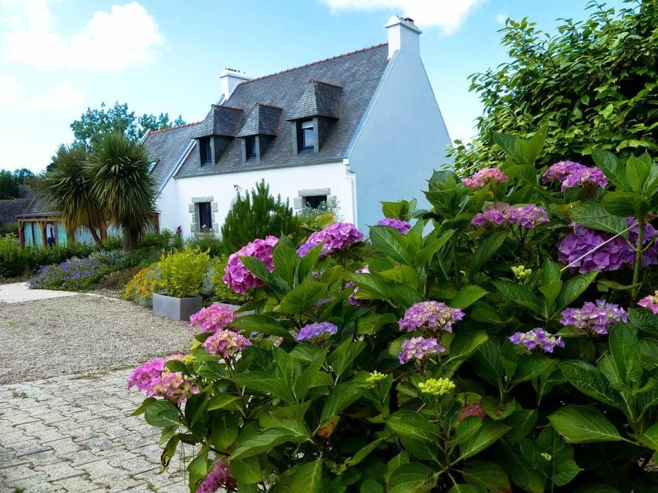 Property building, Garden view